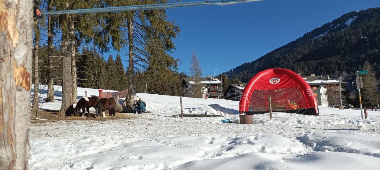 Studio Appartement Avec Piscine, Ski Porte Du Soleil Morgins, Ps3 Games, Wash & Bring Sheets Dış mekan fotoğraf